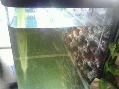 哈爾濱二手魚缸市場(chǎng)的相關(guān)信息：如何挑選合適的二手魚缸：關(guān)于哈爾濱二手魚缸市場(chǎng)的相關(guān)信息