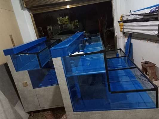定制魚缸和成品魚缸：定制魚缸與成品魚缸的區別