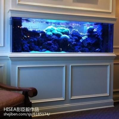 定制魚缸和成品魚缸：定制魚缸與成品魚缸的區別