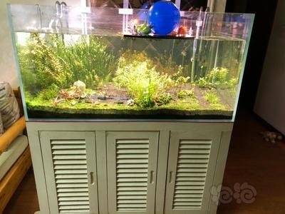 魚缸圖片尺寸大全圖 魚缸圖片尺寸大全圖 魚缸百科 第3張