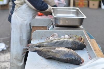 龍魚(yú)炸鱗可以用黃粉嗎：龍魚(yú)炸鱗可以使用黃粉治療其他魚(yú)病效果的自然療法