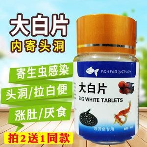 龍魚飼養過程中，用藥不當會導致病情加重甚至死亡：龍魚用藥不當會導致病情加重死亡