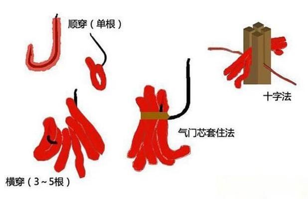 釣魚文化中的紅蟲爭議在釣魚文化中的紅蟲病的真相調(diào)查：紅蟲會污染水質(zhì)嗎？