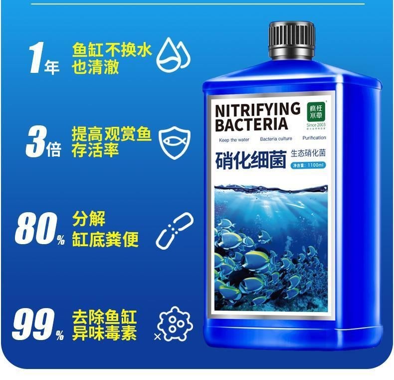 魚缸凈水劑的作用是什么：如何正確使用魚缸凈水劑，魚缸過濾系統的選購技巧
