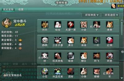 伊春龍魚魚缸：伊春龍魚魚缸，打造家居水族藝術的完美選擇