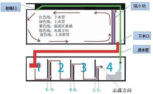 底濾魚缸虹吸的工作原理是什么（底濾魚缸的虹吸原理） 底濾魚缸虹吸的工作原理是什么（底濾魚缸的虹吸原理） 魚缸百科 第1張