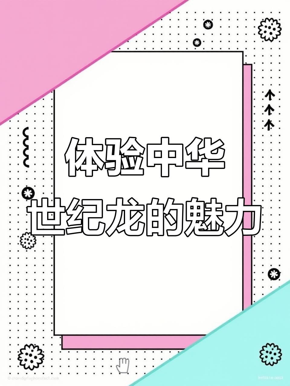 中華世紀金龍的具體價格是多少？