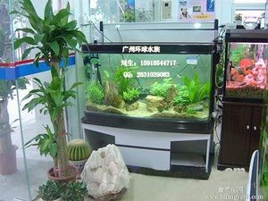 廣州魚缸清洗公司排名前十名（廣州魚缸清洗公司） 廣州魚缸清洗公司排名前十名（廣州魚缸清洗公司） 魚缸百科 第2張