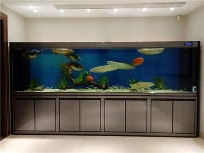 廣州魚缸清洗公司排名前十名(廣州魚缸清洗公司) 魚缸百科 第3張 廣州魚缸清洗公司排名前十名(廣州魚缸清洗公司) 廣州魚缸清洗公司排名前十名(廣州魚缸清洗公司) 魚缸百科 第3張