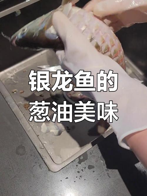 紅燒銀龍魚做法大全竅門圖解