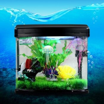 那種魚缸好 魚缸百科 第3張 那種魚缸好 那種魚缸好 魚缸百科 第3張