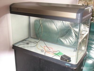 佳寶魚缸好嗎安全嗎：佳寶魚缸與其他品牌對比