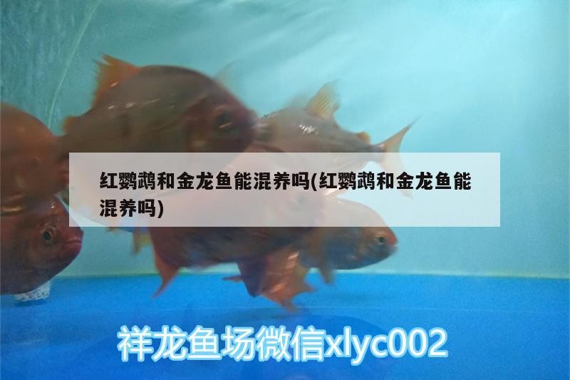 北京魏輝江水族店 北京魏輝江水族店 全國水族館企業名錄 第2張