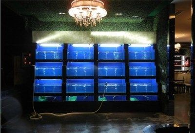 海鮮魚缸消毒多久（海鮮魚缸如何消毒）