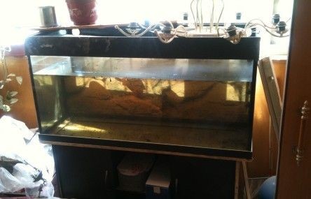 舊魚缸如何處理：如何處理舊魚缸