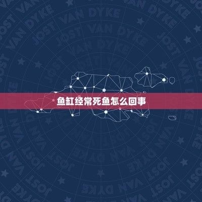 魚缸里的魚為什么老是死是不是當(dāng)災(zāi)？：如何正確調(diào)節(jié)魚缸水質(zhì)，魚缸內(nèi)食物殘留處理方法