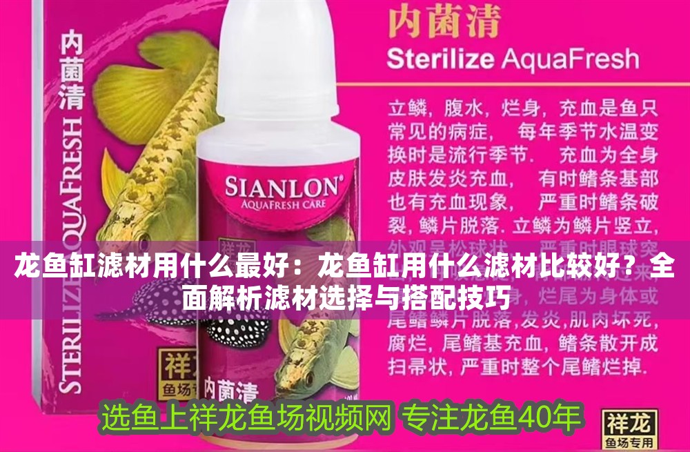 龍魚缸濾材用什么最好：龍魚缸用什么濾材比較好？全面解析濾材選擇與搭配技巧
