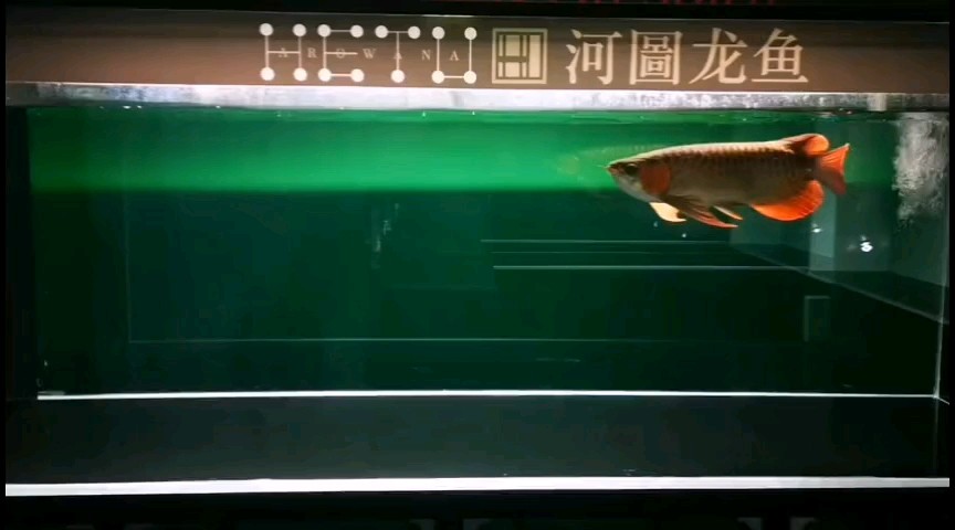 尺寸變化最大，但說實在話，比例更舒服了