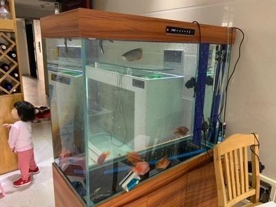 翌美魚缸質量怎么樣:翌美魚缸用戶評價 魚缸百科 第5張 翌美魚缸質量怎么樣:翌美魚缸用戶評價 翌美魚缸質量怎么樣:翌美魚缸用戶評價 魚缸百科 第5張