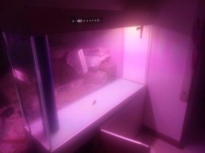 翌美魚缸質量怎么樣:翌美魚缸用戶評價 魚缸百科 第4張 翌美魚缸質量怎么樣:翌美魚缸用戶評價 翌美魚缸質量怎么樣:翌美魚缸用戶評價 魚缸百科 第4張