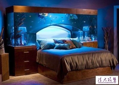 床頭魚缸好不好:床頭擺放魚缸是否適合? 魚缸百科 第5張 床頭魚缸好不好:床頭擺放魚缸是否適合? 床頭魚缸好不好:床頭擺放魚缸是否適合? 魚缸百科 第5張
