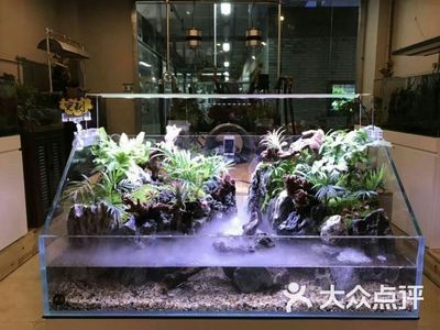 佛教文化與室內設計佛像魚缸造景：佛像魚缸造景的一些詳細步驟 佛教文化與室內設計佛像魚缸造景：佛像魚缸造景的一些詳細步驟 魚缸百科 第2張