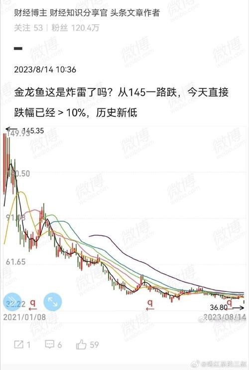 金龍魚的市場價格有波動嗎？