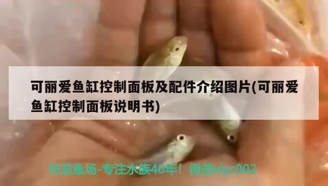 陵水英州魚樂圈水族店（陵水英州水療）
