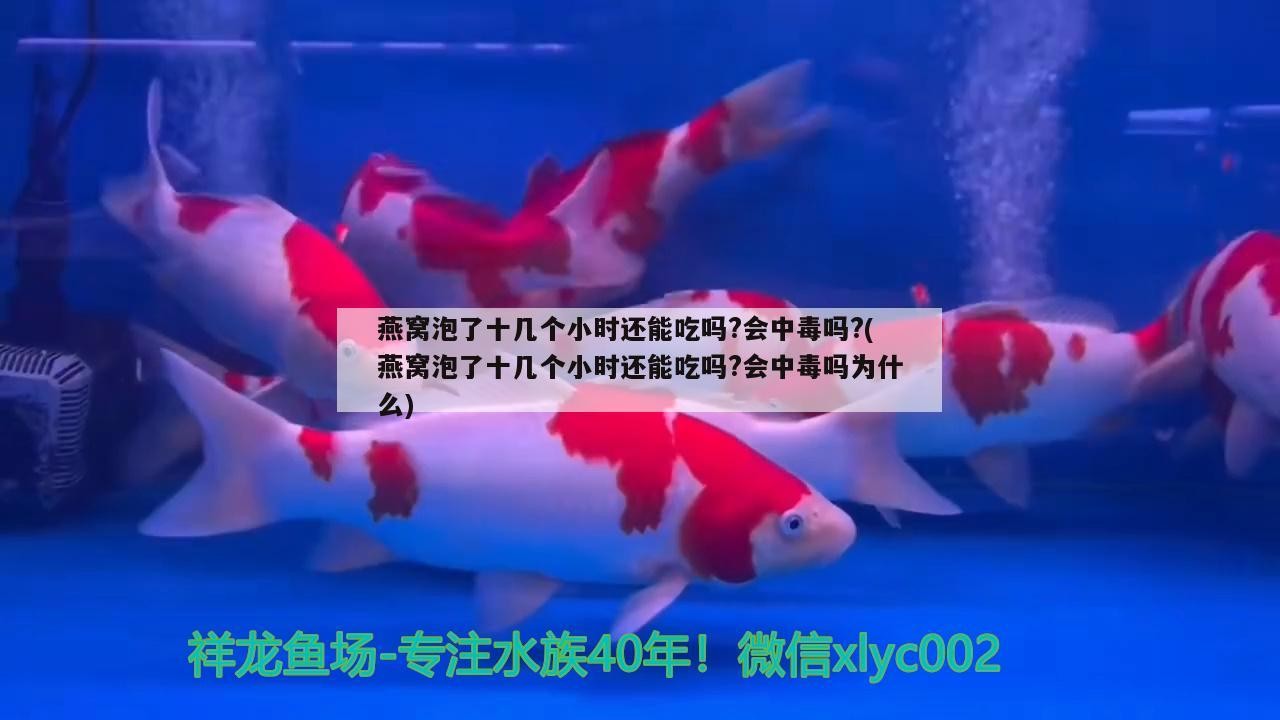 唐山市古冶區有佳杰水族店（唐山市古冶區有佳杰水族店嗎） 唐山市古冶區有佳杰水族店（唐山市古冶區有佳杰水族店嗎） 全國水族館企業名錄