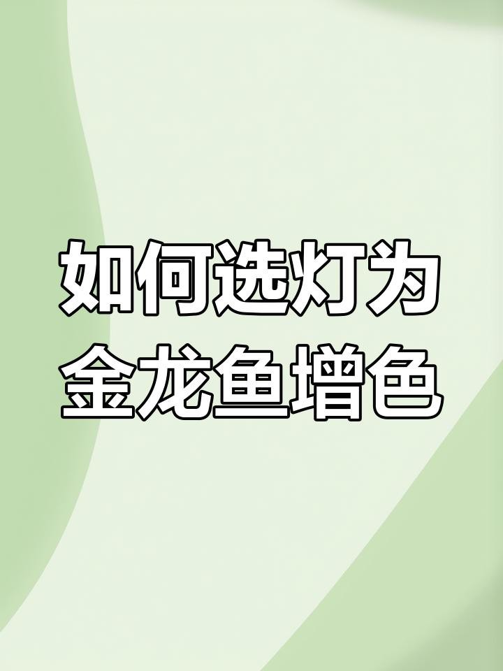 過背金龍魚的最佳照明參數(shù)