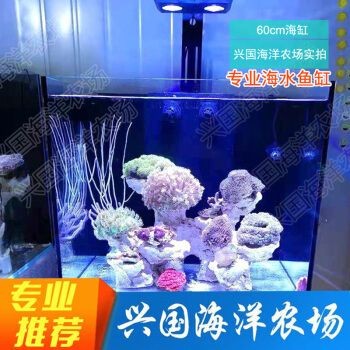 興國海(Singoseafarm)魚缸,興國海(singoseafarm)海水魚缸套裝價格對比 魚缸百科 第4張 興國海(Singoseafarm)魚缸,興國海(singoseafarm)海水魚缸套裝價格對比 興國海(Singoseafarm)魚缸,興國海(singoseafarm)海水魚缸套裝價格對比 魚缸百科 第4張