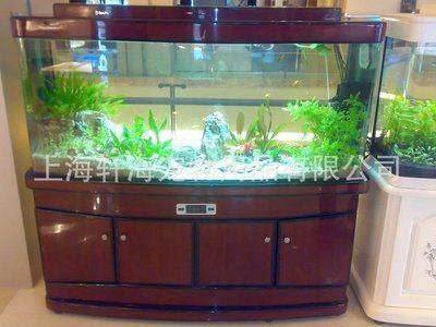 索普魚缸怎么樣好用嗎：家庭養魚的理想選擇 索普魚缸怎么樣好用嗎：家庭養魚的理想選擇 魚缸百科 第2張