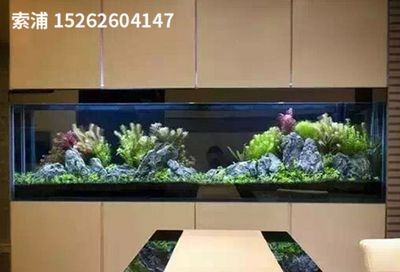 索普魚缸怎么樣好用嗎：家庭養魚的理想選擇 索普魚缸怎么樣好用嗎：家庭養魚的理想選擇 魚缸百科 第5張