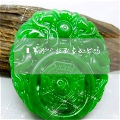 翡翠鐲子放在魚缸里好不好？：翡翠鐲子可以放在魚缸里，正確的存放方式是正確的存放 翡翠鐲子放在魚缸里好不好？：翡翠鐲子可以放在魚缸里，正確的存放方式是正確的存放 魚缸百科 第3張