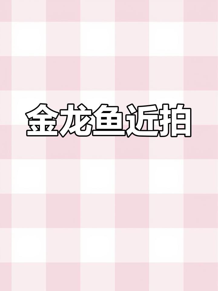 新手飼養星點龍需要注意什么？