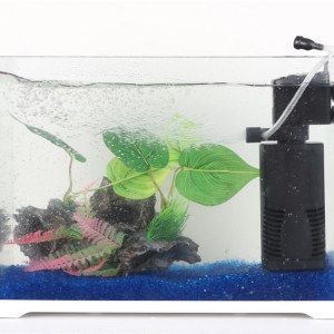 海洋生態魚缸哪款好用點（海洋生態魚缸的構建指南）