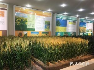 金龍魚展廳，深圳金龍魚體驗館