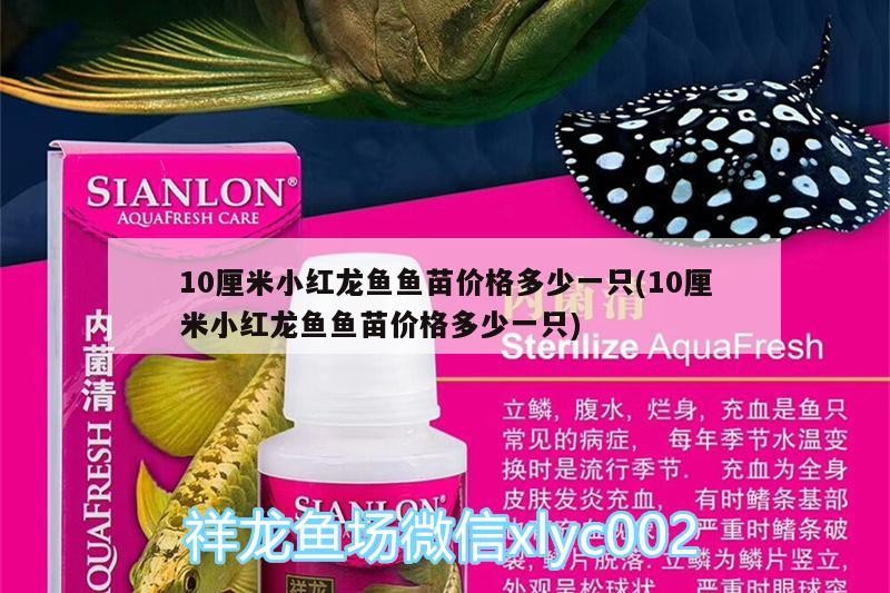 紫陽縣恒新花鳥魚蟲店