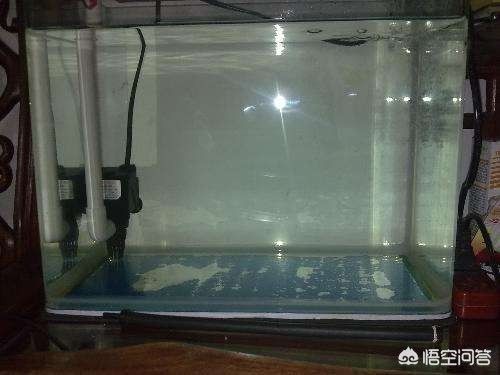 高錳酸鉀魚缸消毒的方法：高錳酸鉀使用高錳酸鉀的消毒和真菌的作用與保養(yǎng)方法 高錳酸鉀魚缸消毒的方法：高錳酸鉀使用高錳酸鉀的消毒和真菌的作用與保養(yǎng)方法 魚缸百科 第3張