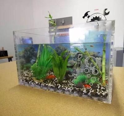 養(yǎng)龍魚(yú)用什么缸性價(jià)比高：龍魚(yú)用什么缸養(yǎng)比較好活的？全面解析龍魚(yú)飼養(yǎng)缸的選擇 養(yǎng)龍魚(yú)用什么缸性價(jià)比高：龍魚(yú)用什么缸養(yǎng)比較好活的？全面解析龍魚(yú)飼養(yǎng)缸的選擇 龍魚(yú)百科 第2張