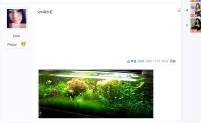 魚缸圖片大全100種(魚缸圖片大全100種,關(guān)于魚缸圖片大全100種查詢)