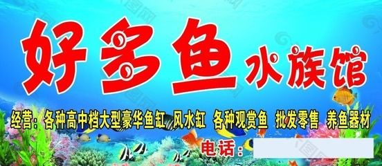 觀賞魚店魚缸設計效果圖（尋找觀賞魚店魚缸設計效果圖和設計建議）