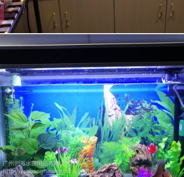創海魚缸怎么樣好用嗎：創海魚缸用戶對創海魚缸的評價