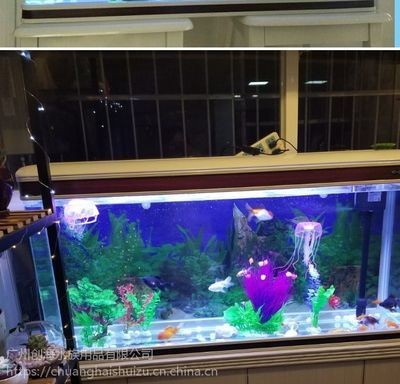 創海魚缸怎么樣好用嗎：創海魚缸用戶對創海魚缸的評價