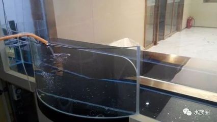 魚缸漂浮：關于魚缸漂浮的研究