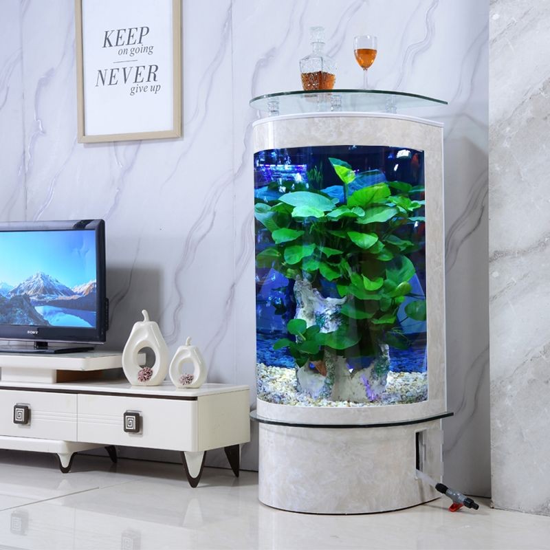 十大不建議買的魚缸品牌（十大不建議買的魚缸）