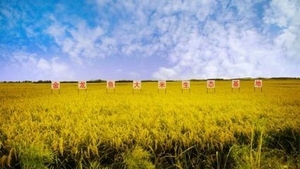 金龍魚養殖基地在哪里：金龍魚養殖基地在哪里養殖基地需要注意以下幾點 金龍魚養殖基地在哪里：金龍魚養殖基地在哪里養殖基地需要注意以下幾點 龍魚百科 第3張
