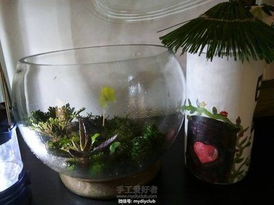 花盆改造成魚缸改造成魚缸內壁的孔洞如果不處理方法：如何將廢棄的花盆改造成一個既美觀又實用的魚缸？