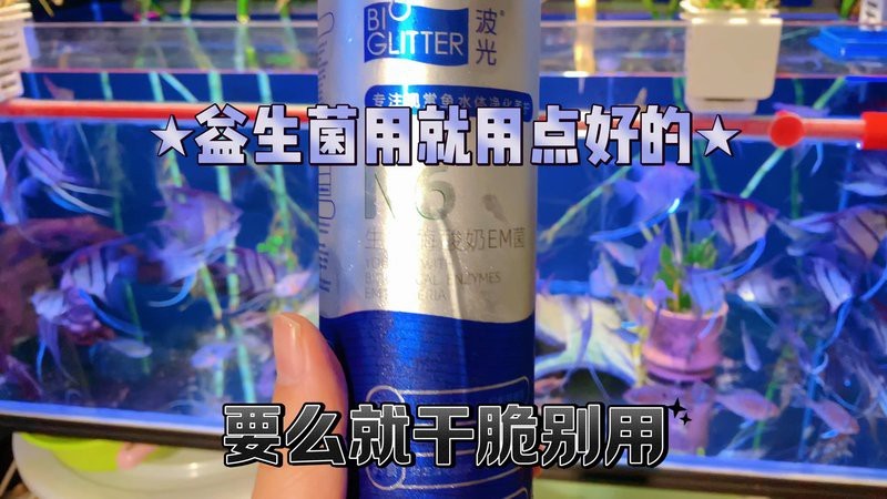 益生菌對紅龍魚有副作用嗎？