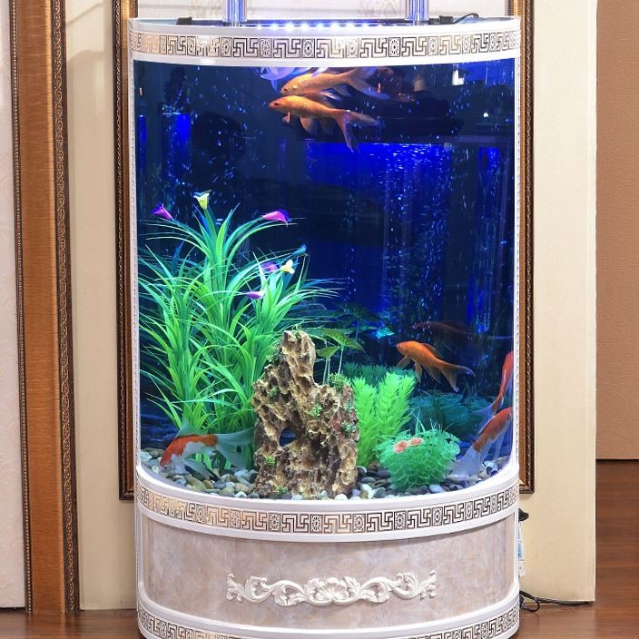 容縣容州銀城水族店（<strong><mark>容城</mark></strong>水族館）